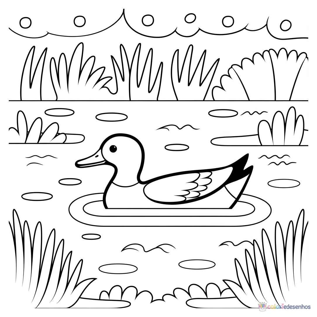 Animais para colorir