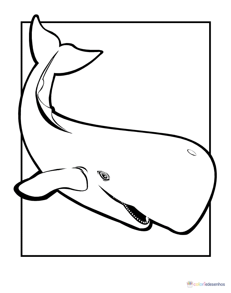 Baleias para colorir