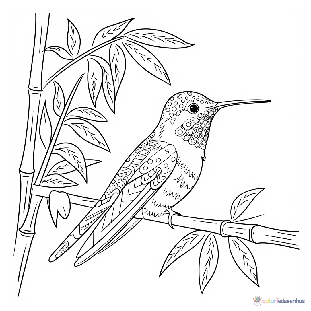 Beija-flor para colorir