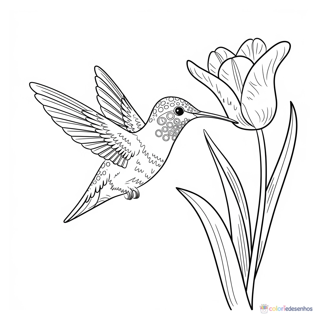 Beija-flor para colorir