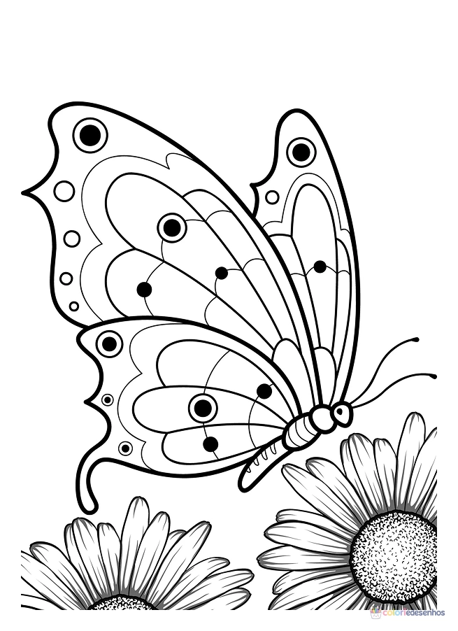 Borboletas para colorir