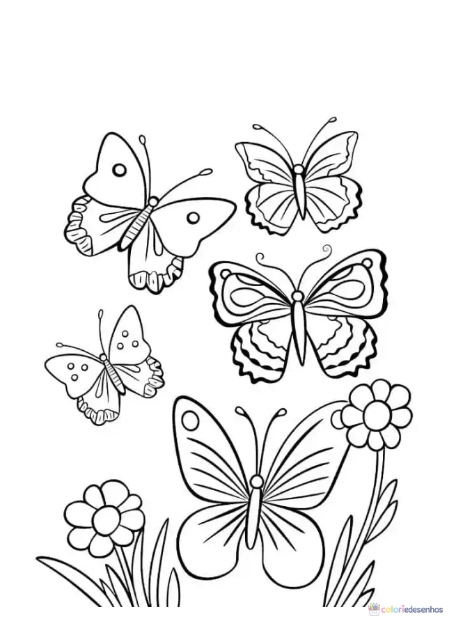 Borboletas para colorir
