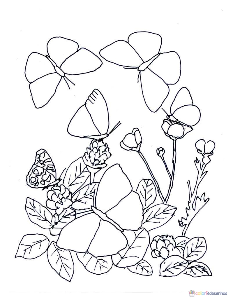 Desenhos de Borboletas para colorir