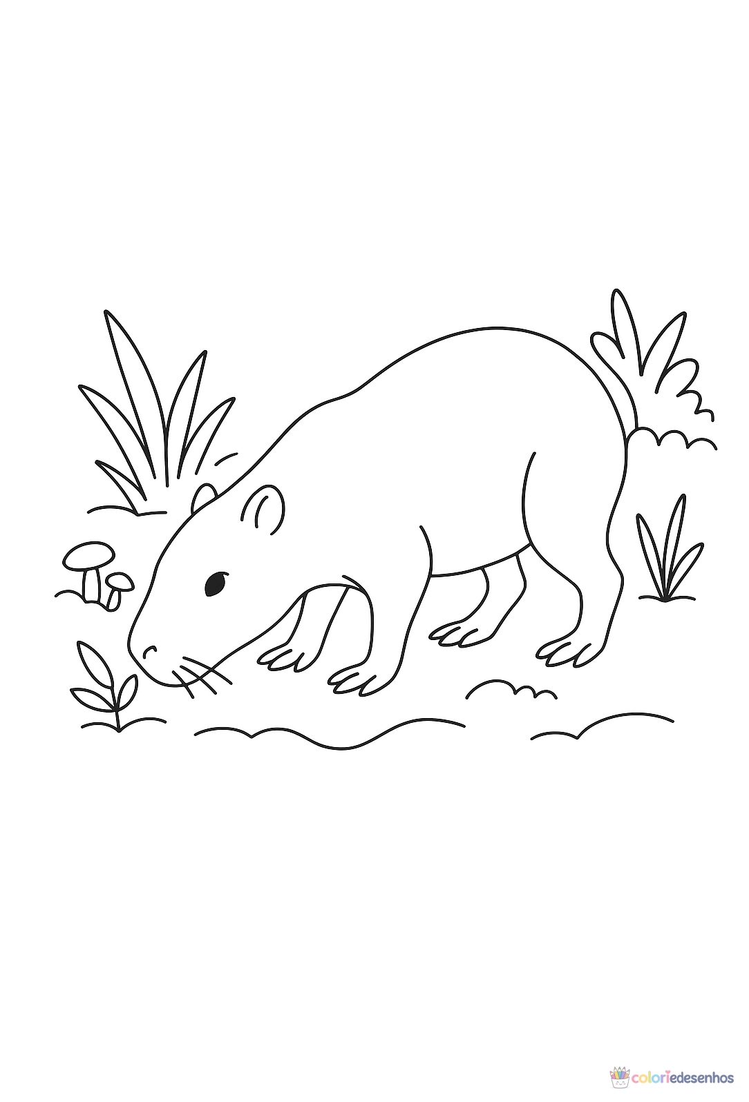 Capivara para colorir