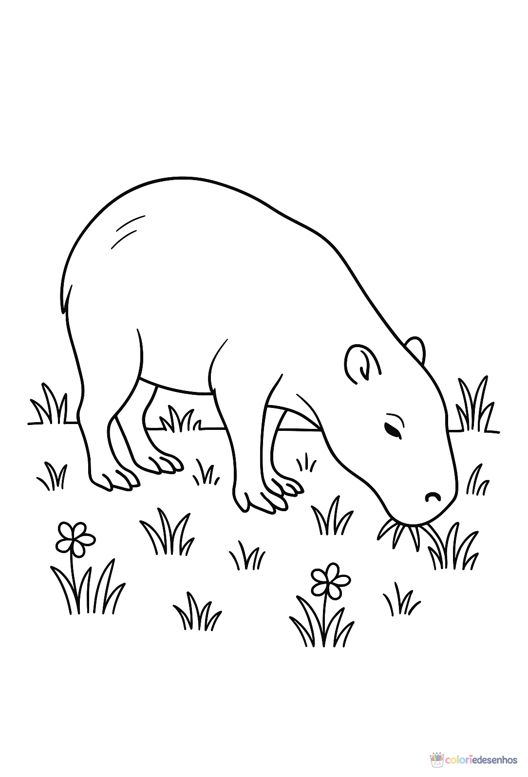 Capivara para colorir