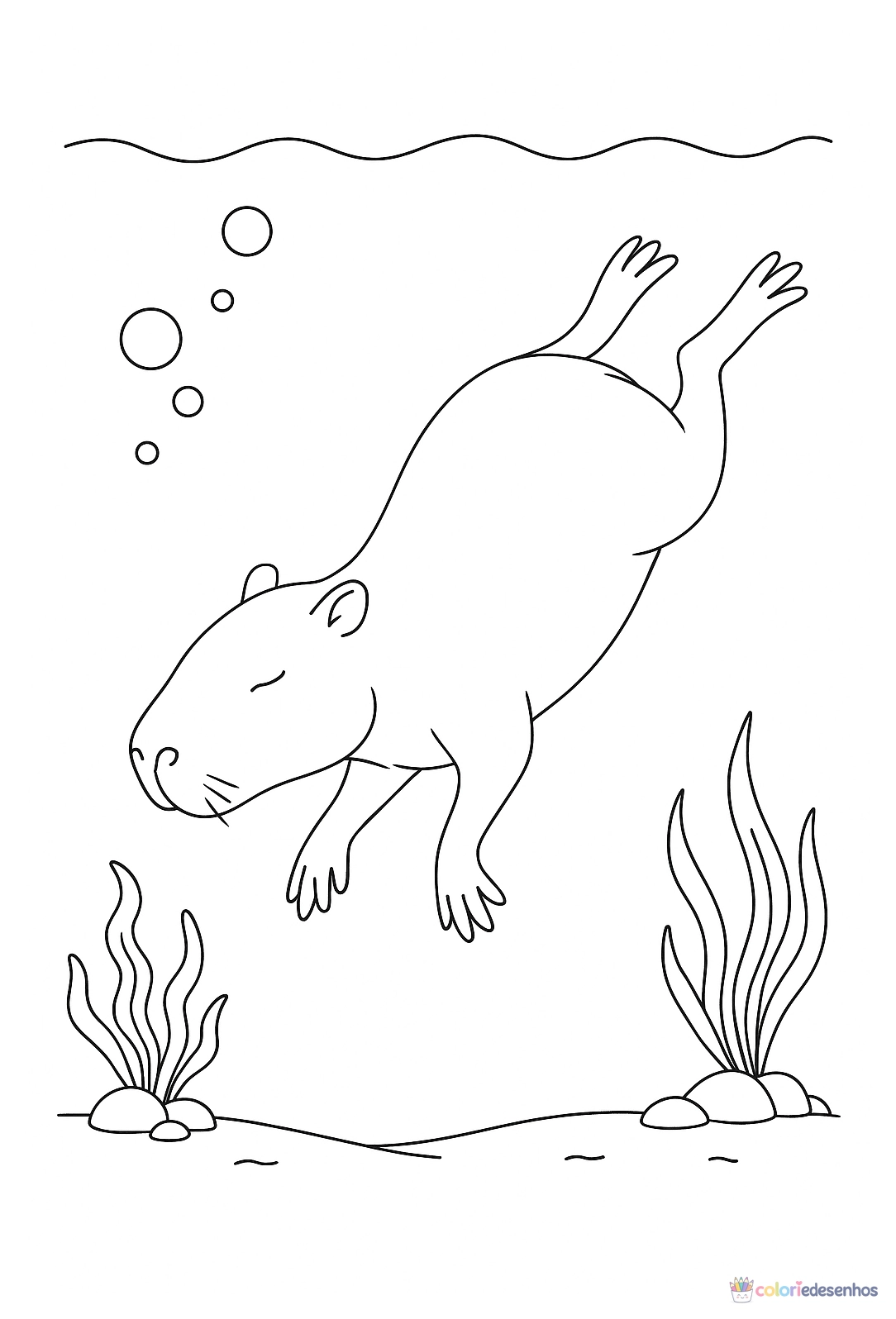 Capivara para colorir