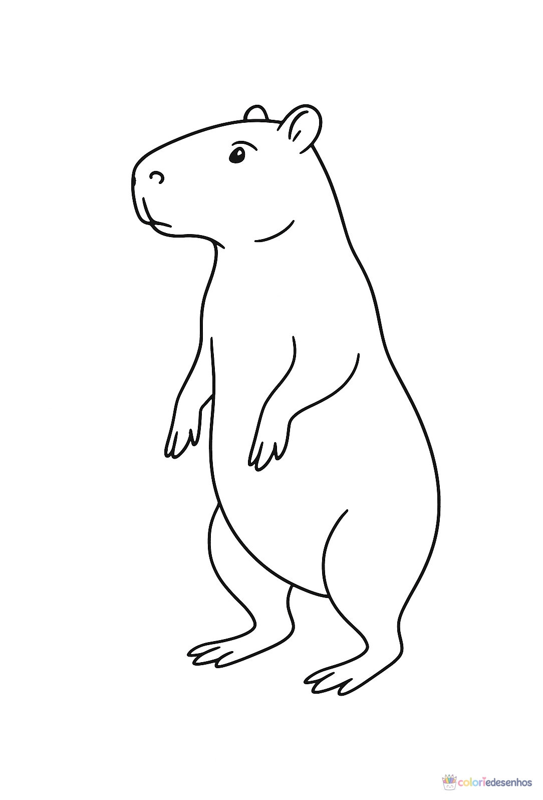 Capivara para colorir