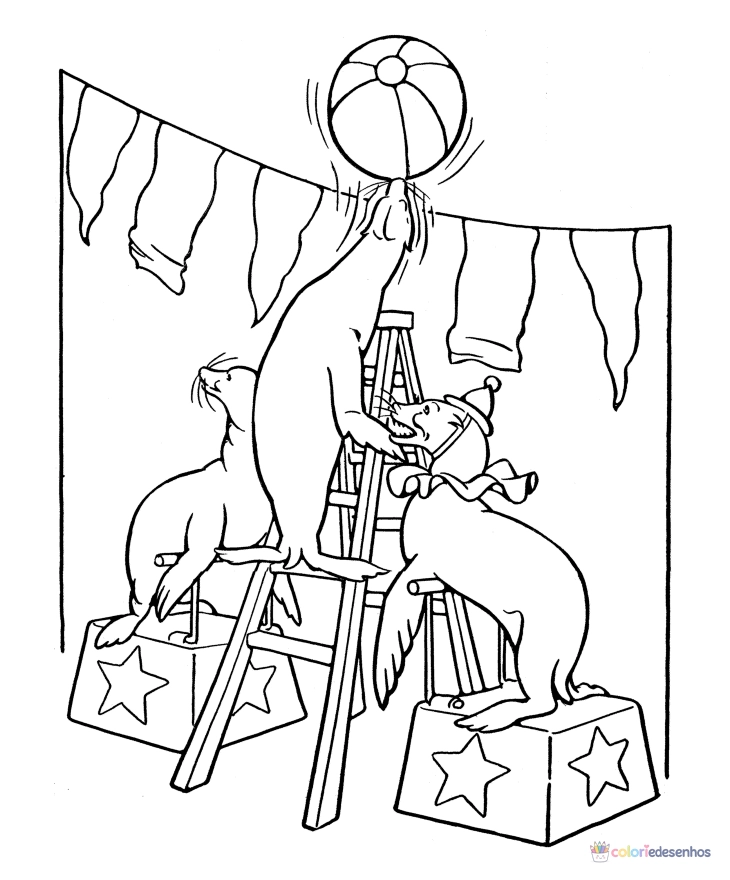 Circo para colorir