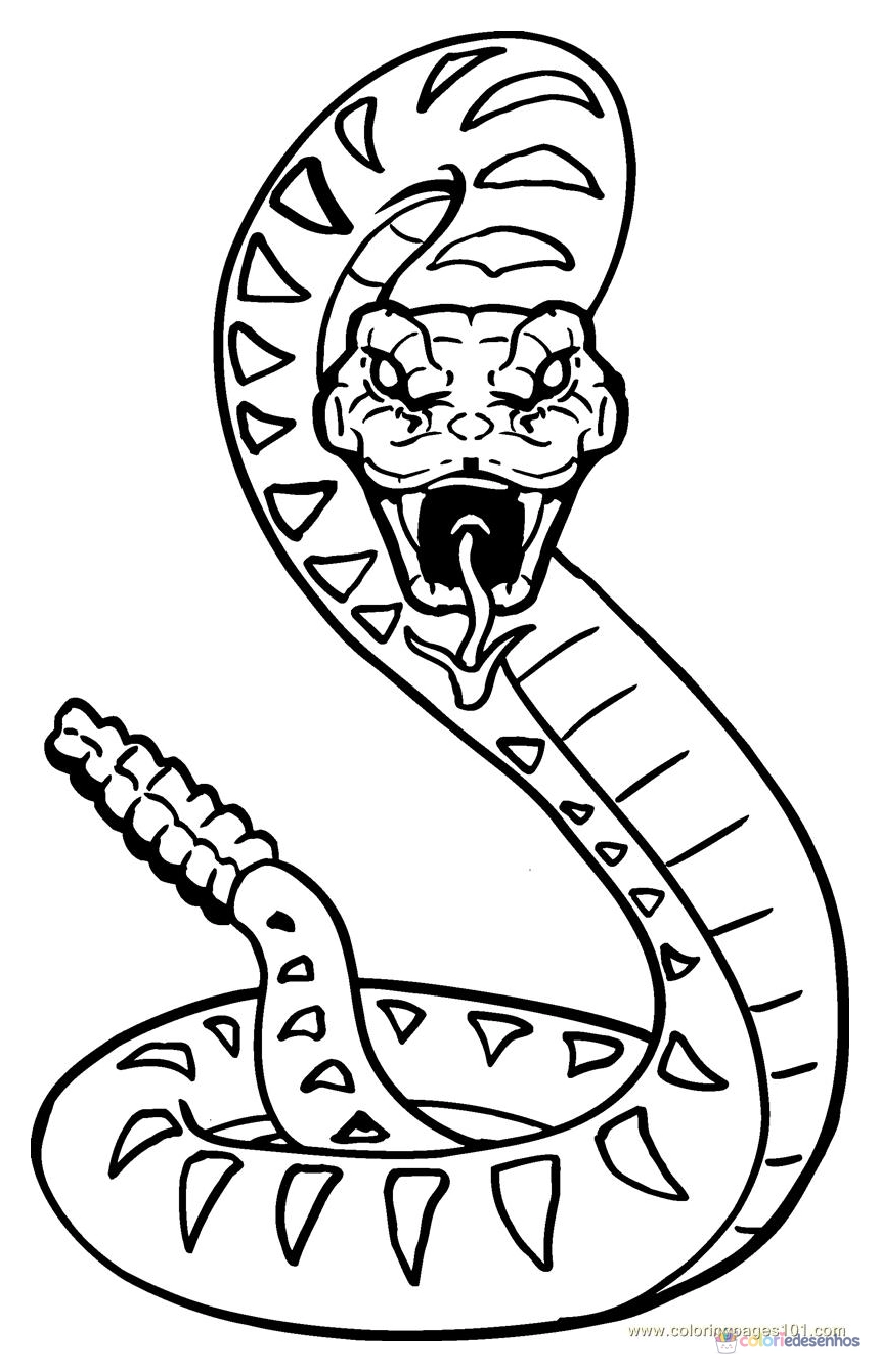 Cobras para imprimir e colorir para colorir
