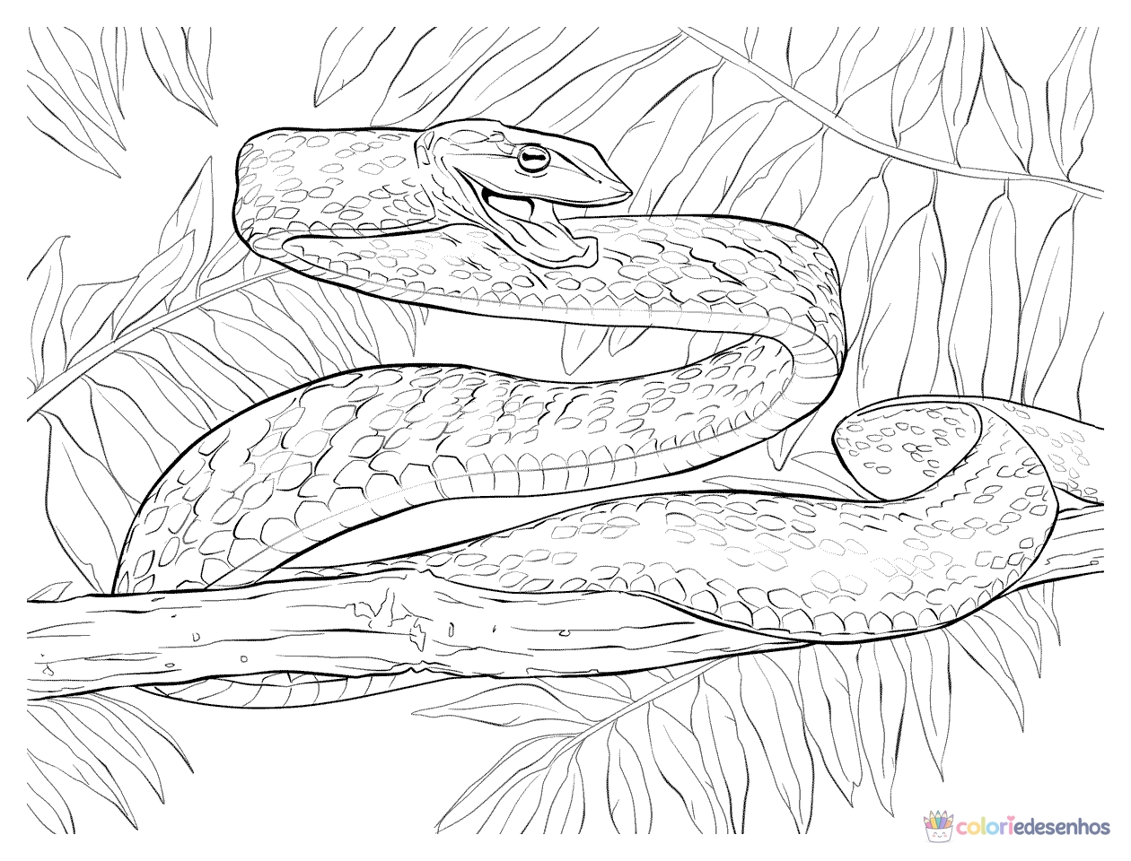 Cobras para imprimir e colorir para colorir