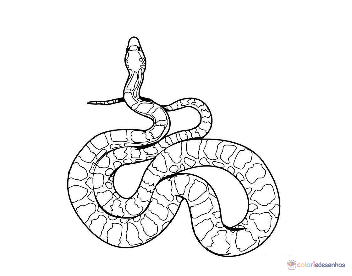 Cobras para colorir