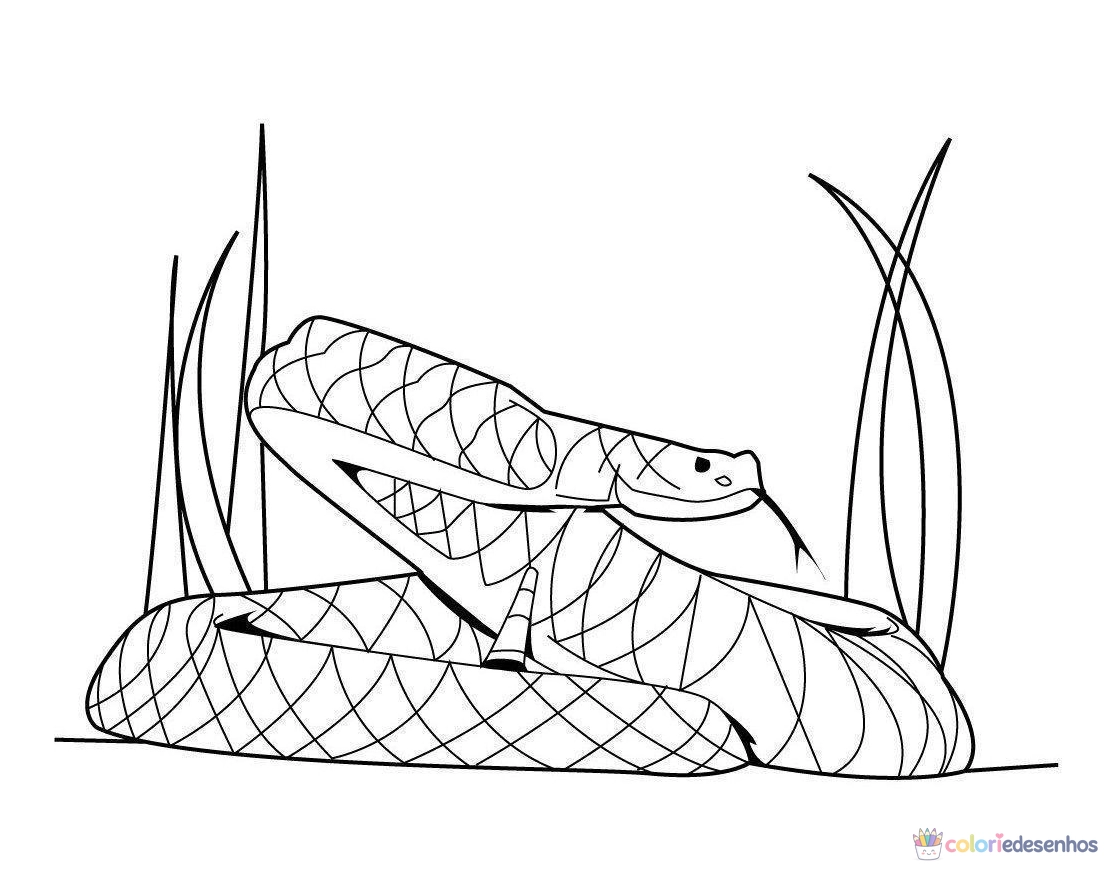 Cobras para colorir