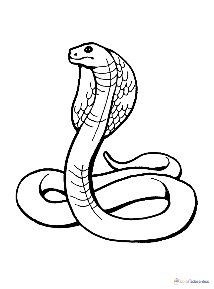 Cobras para colorir