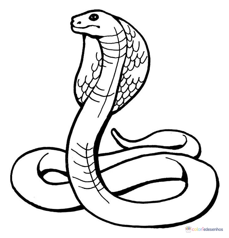 Cobras para colorir