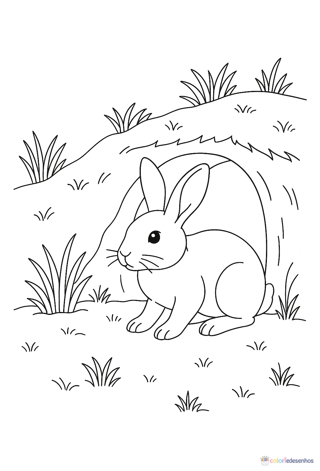 Coelho para colorir