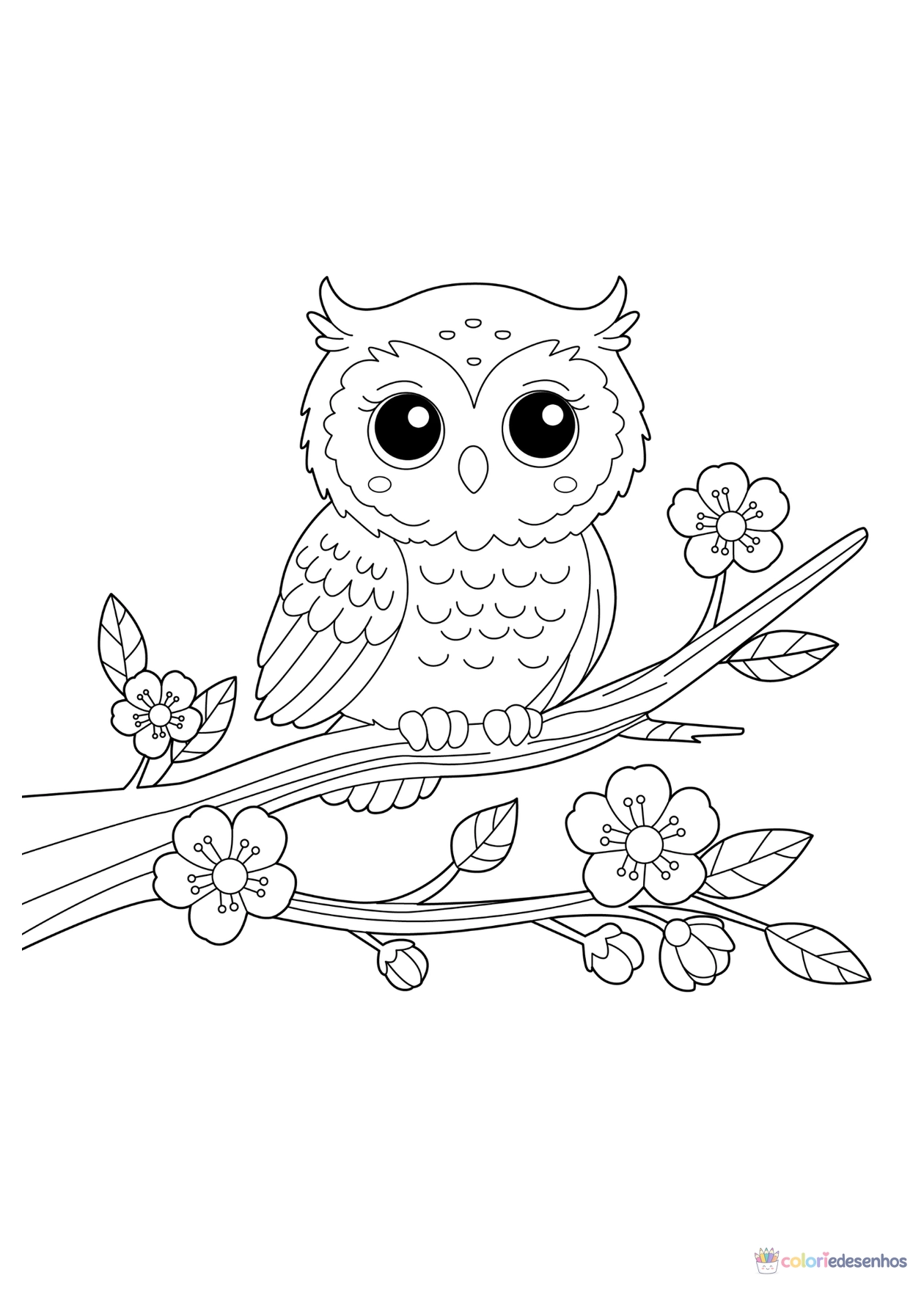 Coruja para imprimir e colorir para colorir