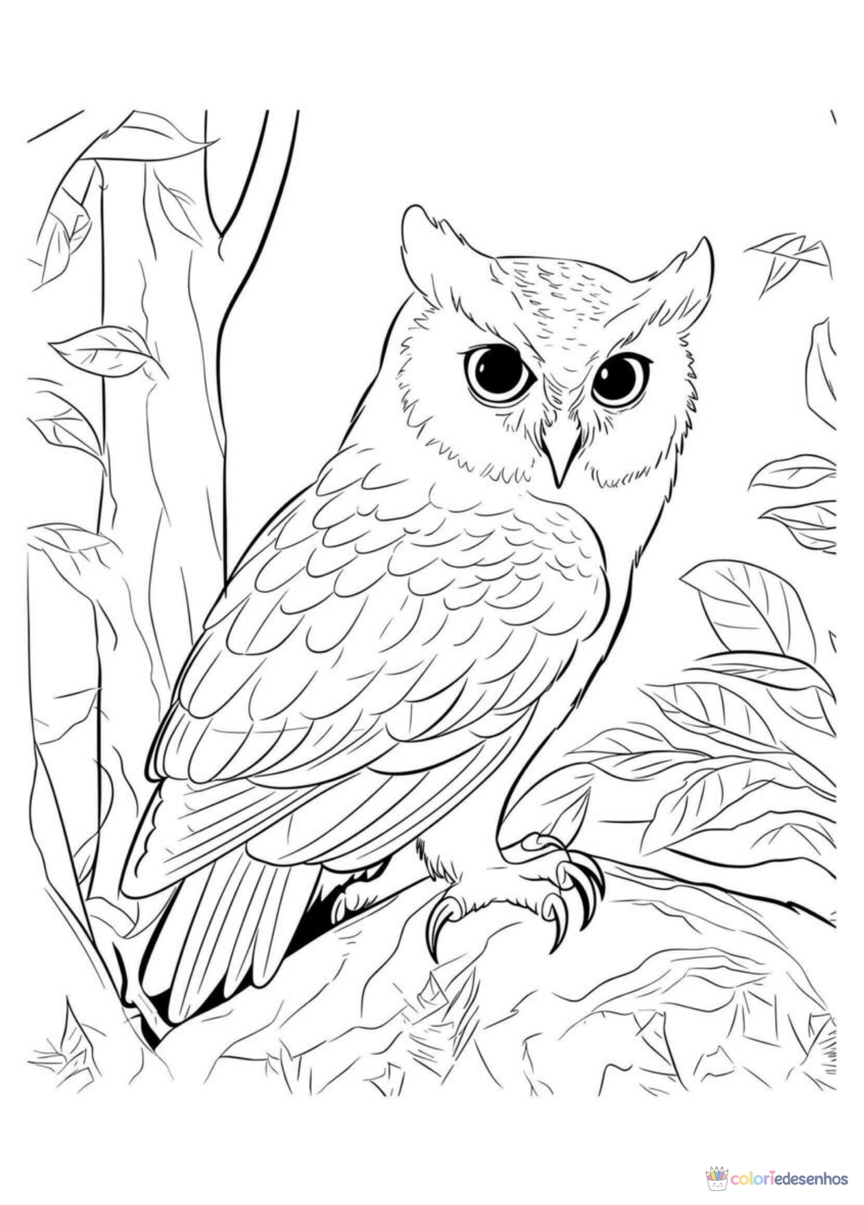 Coruja para imprimir e colorir para colorir