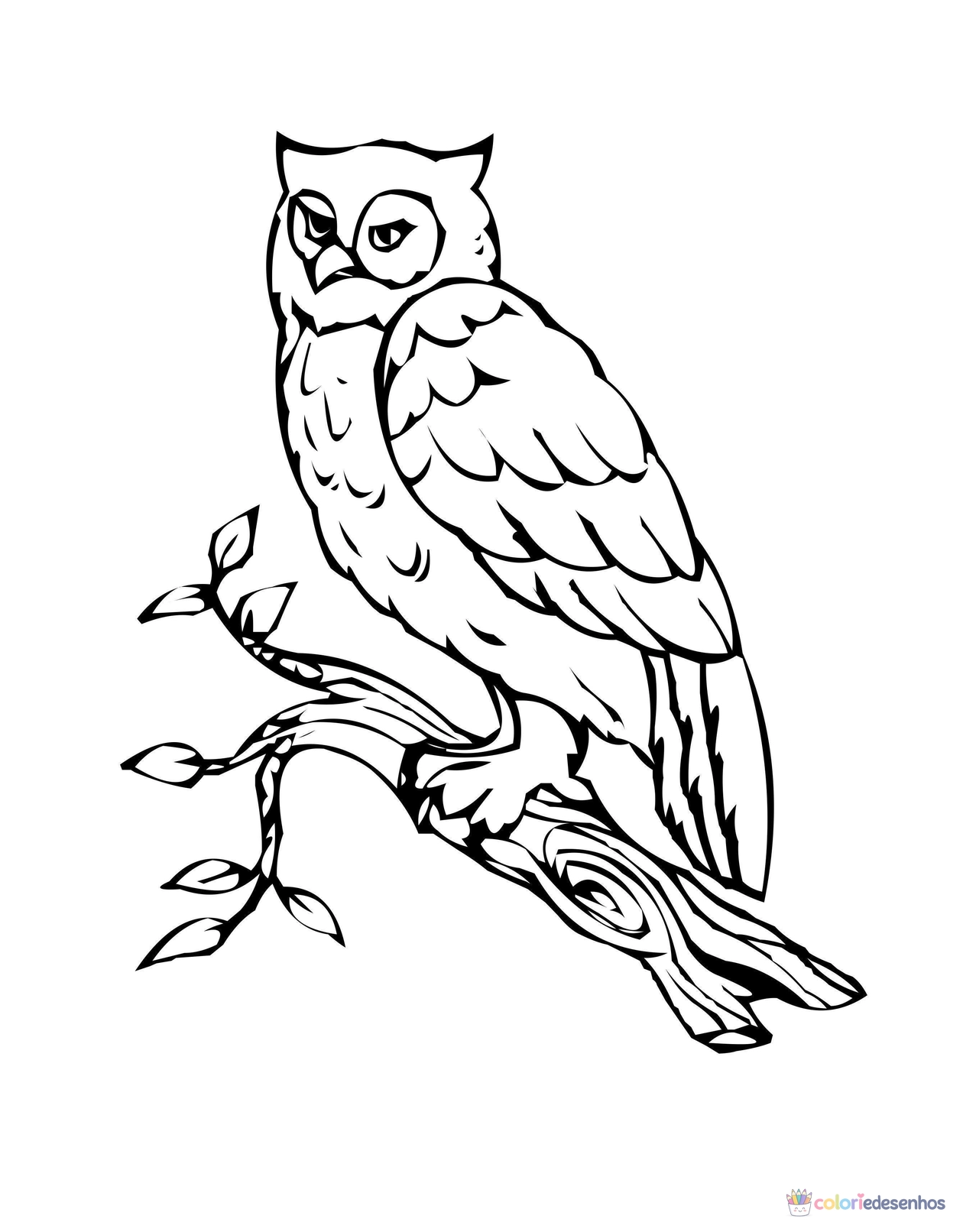 Desenhos de Corujas para colorir