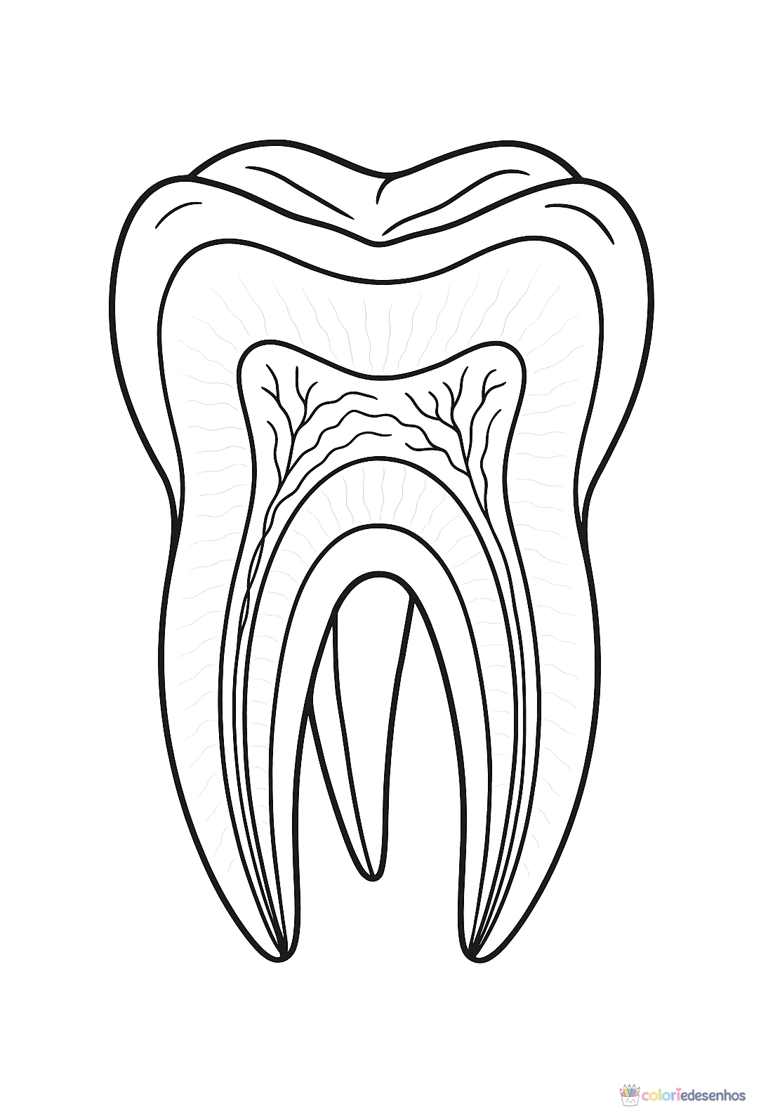 Dente e Dentistas para colorir