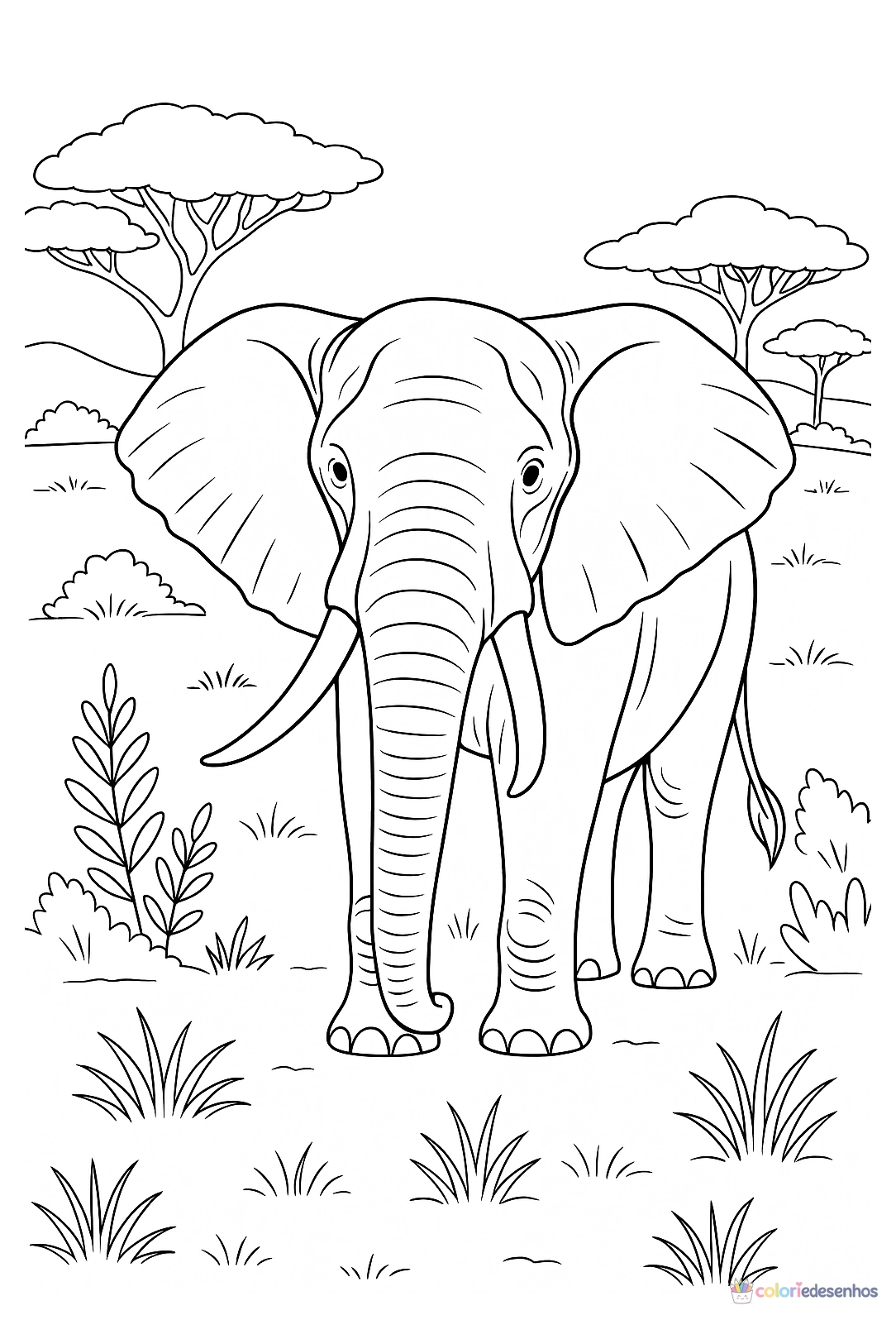 Elefante para colorir