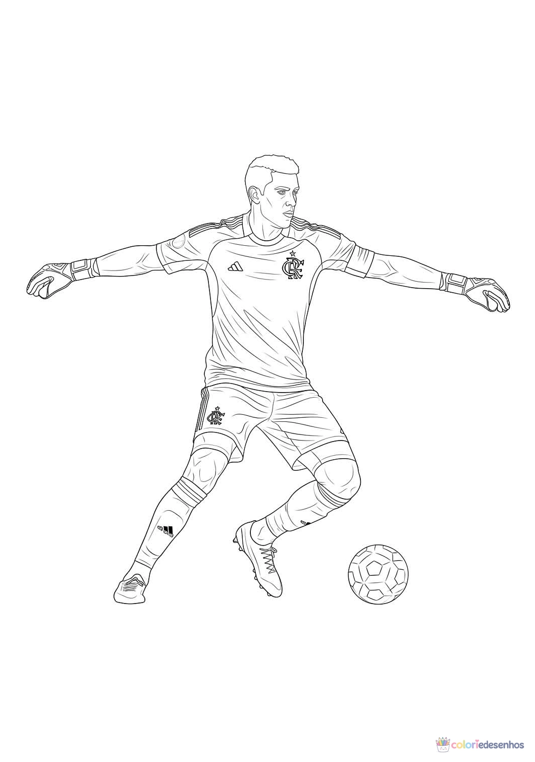 Flamengo para colorir