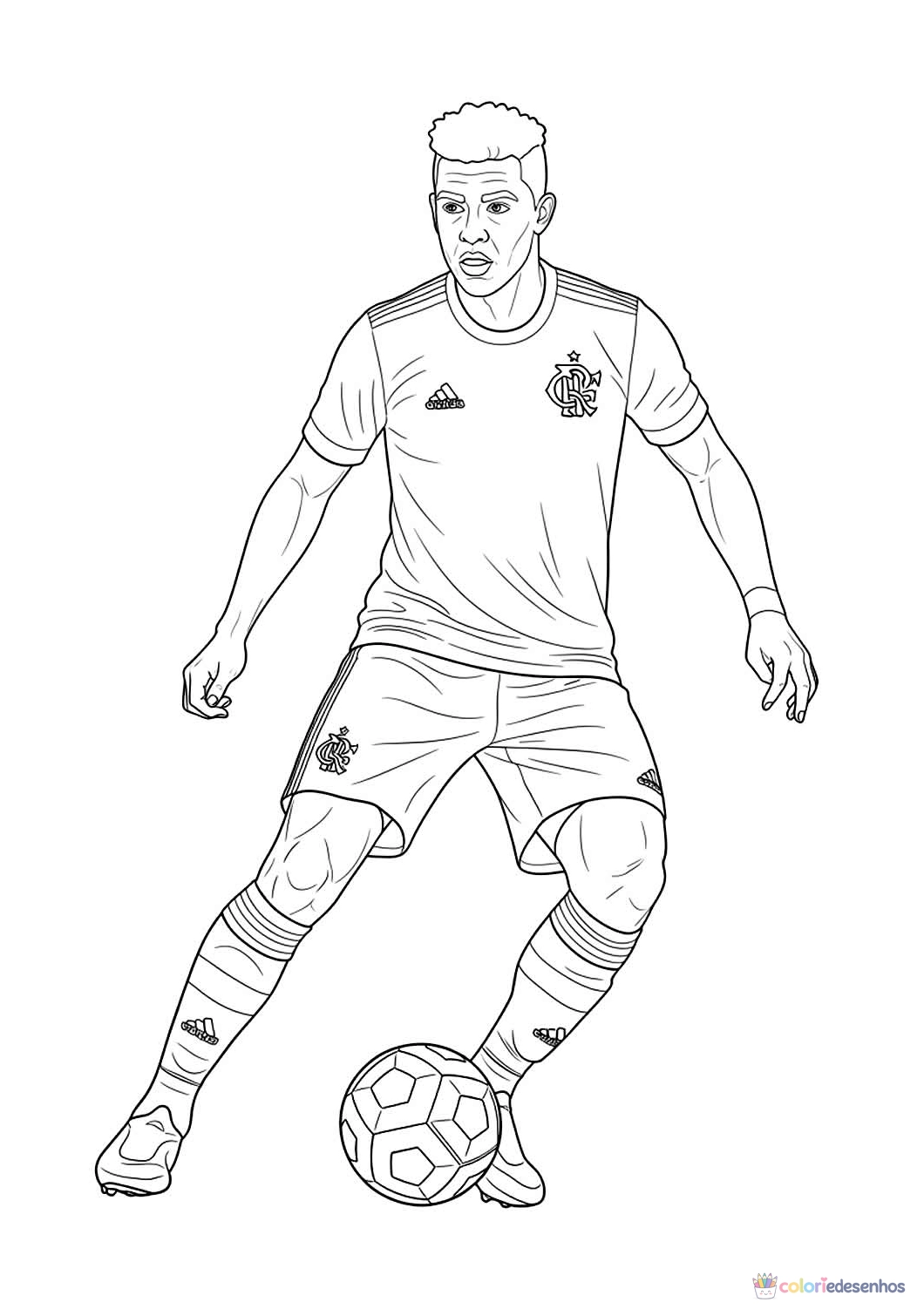 Flamengo para colorir