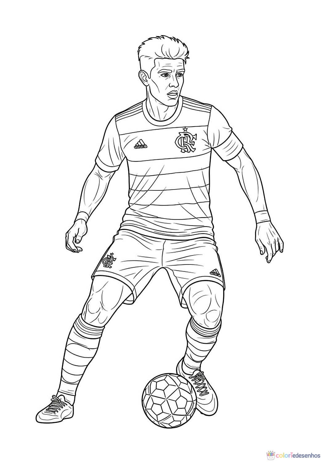 Flamengo para colorir