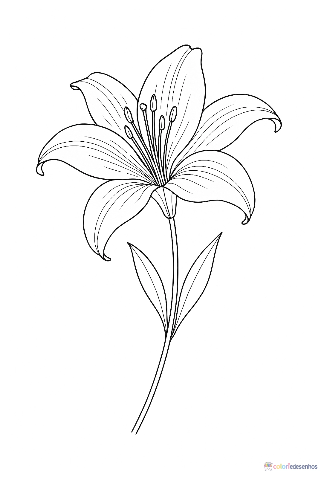 Flor para colorir