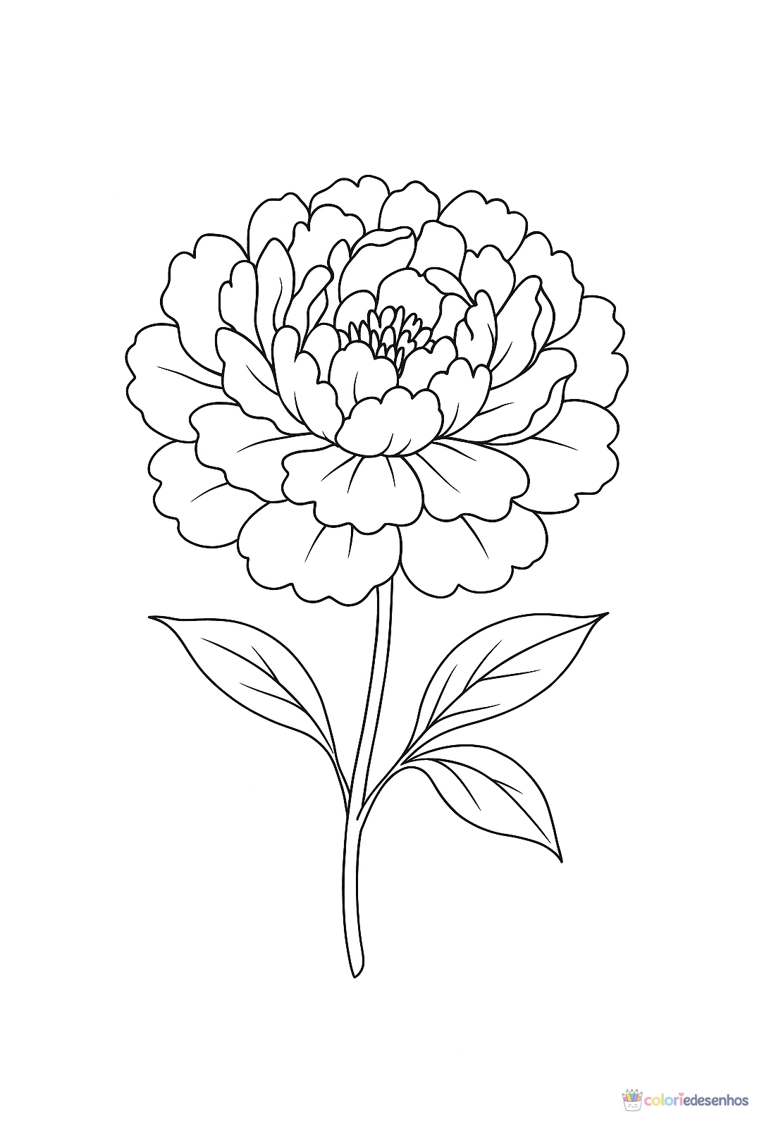 Flor para colorir