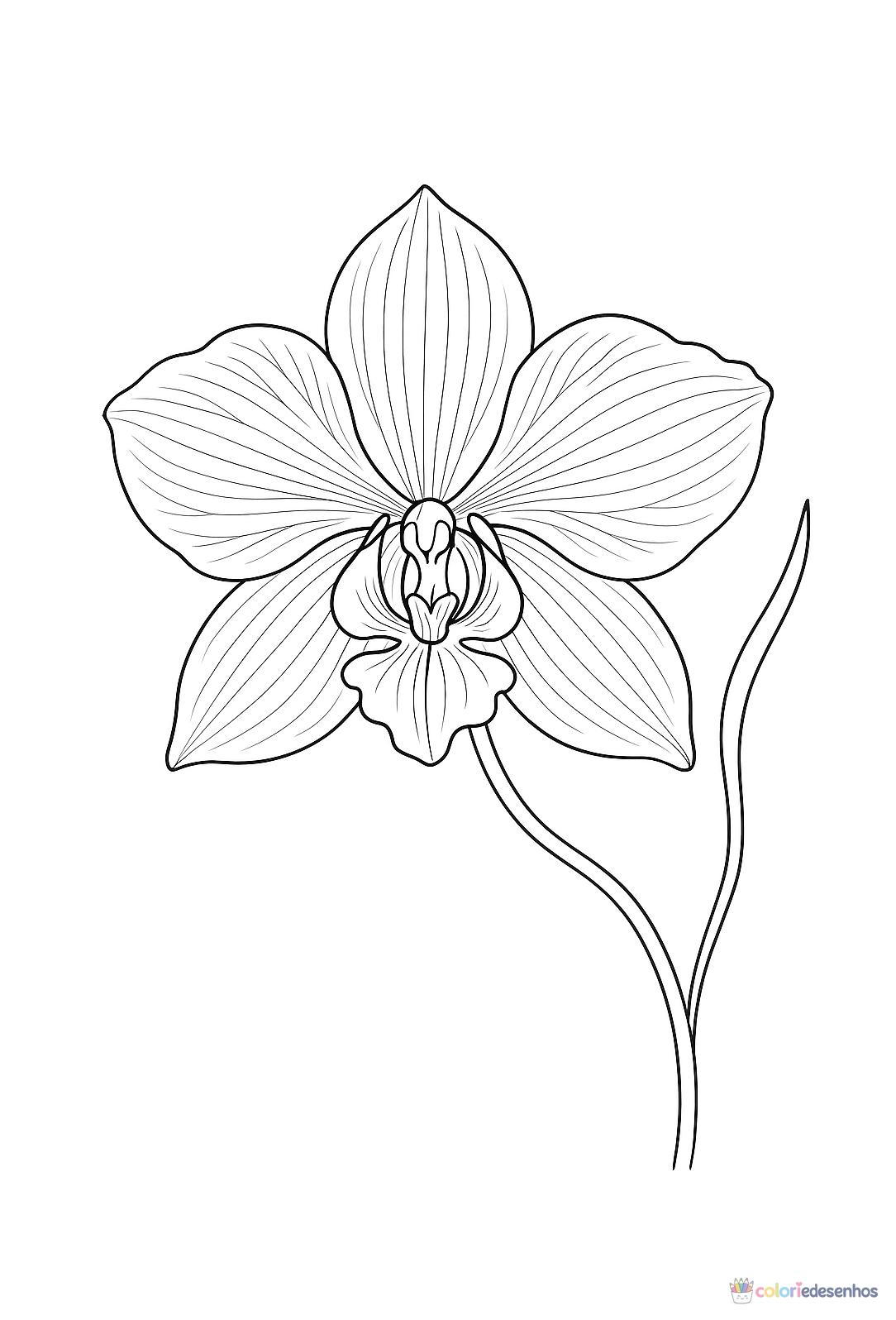Flor para colorir