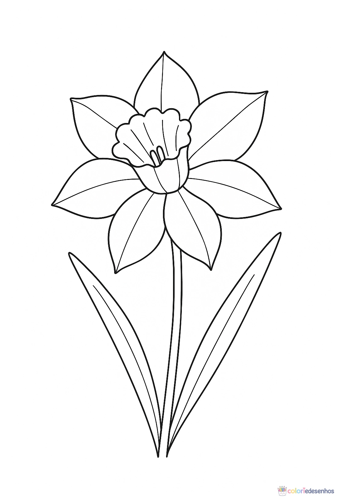 Flor para colorir