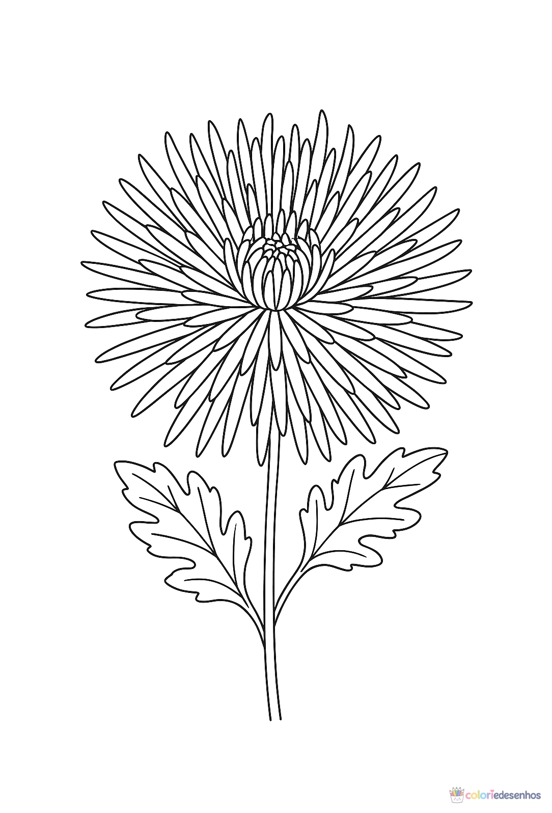 Flor para colorir