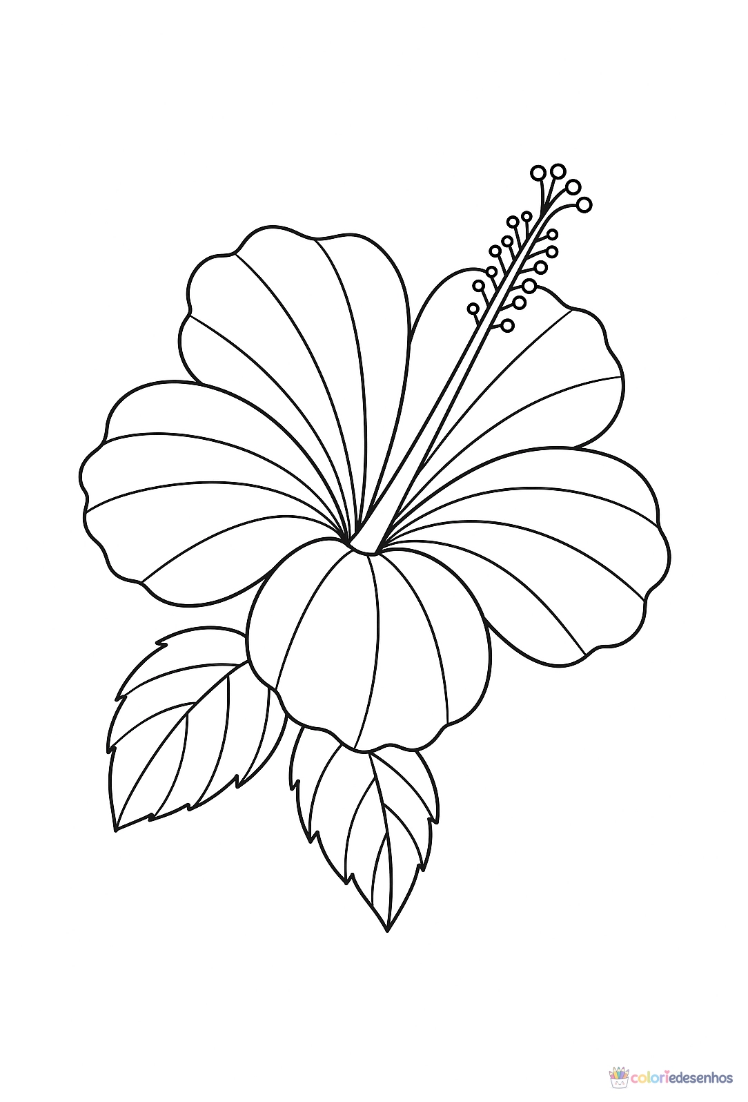 Flor para colorir
