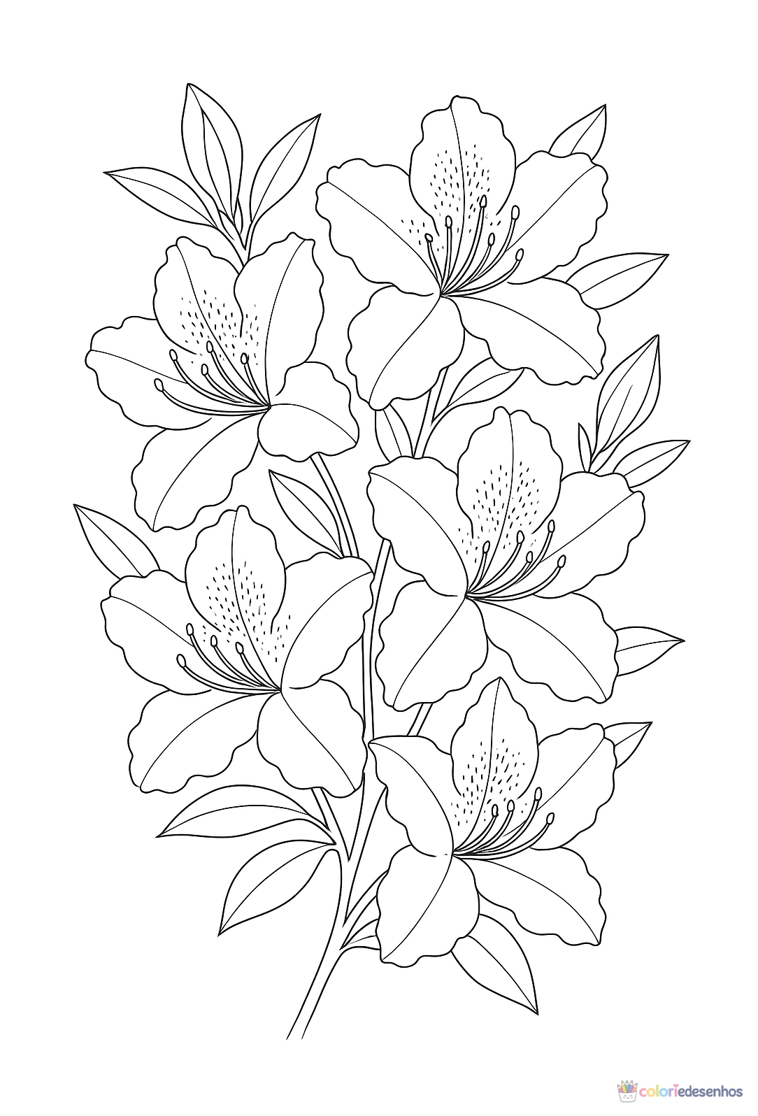Flor para colorir