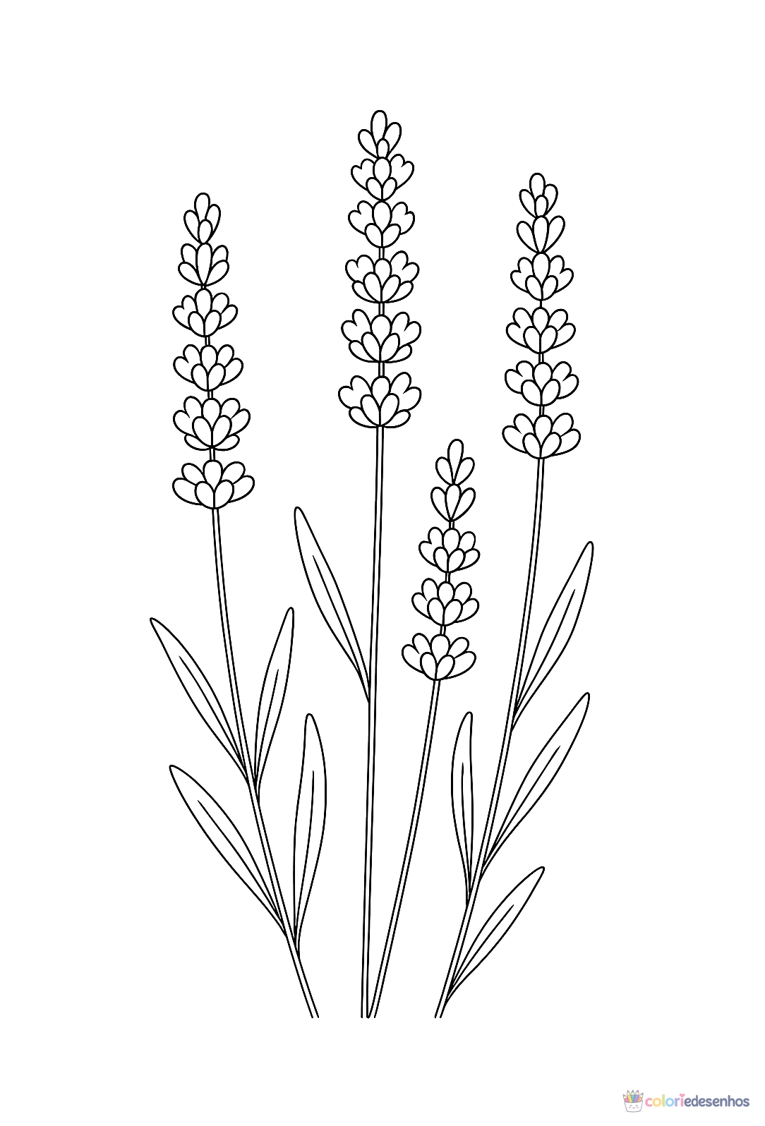 Flor para colorir