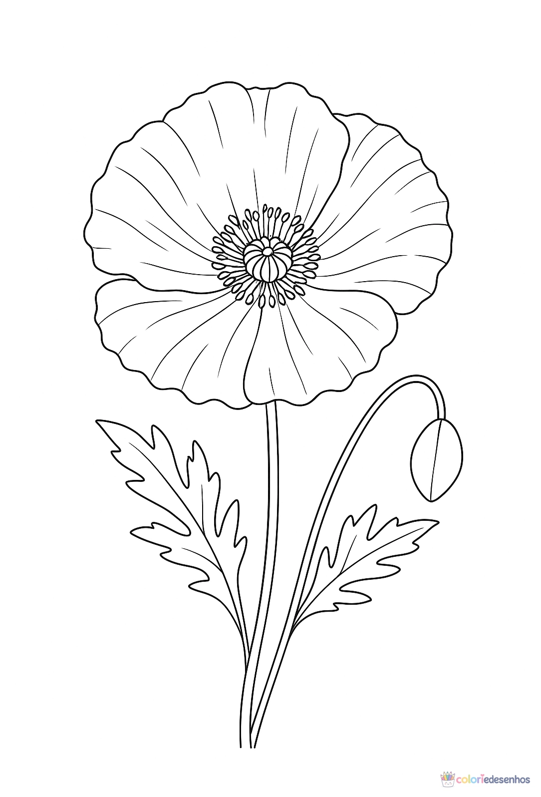 Flor para colorir
