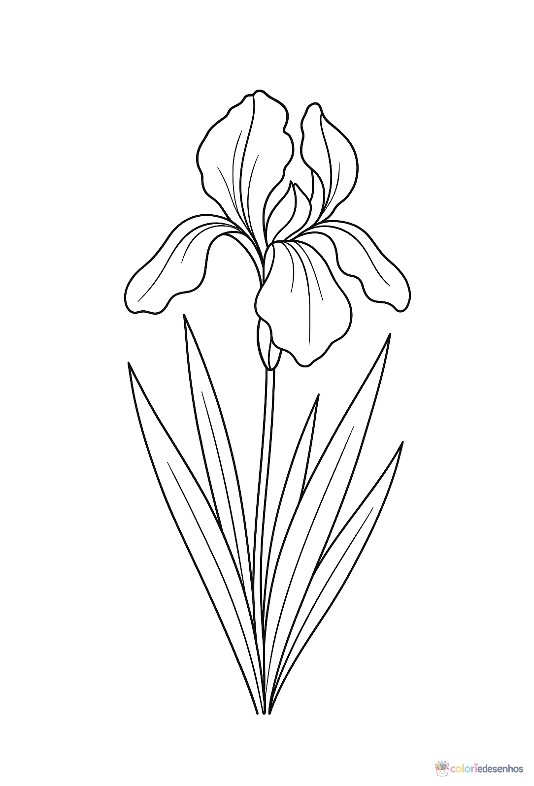 Flor para colorir