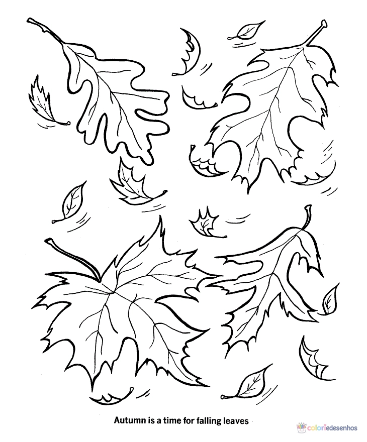 Folhas para colorir