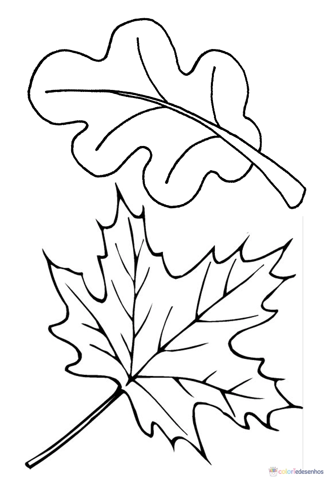 Folhas para colorir
