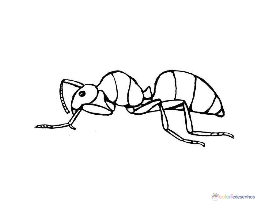 Formigas para colorir