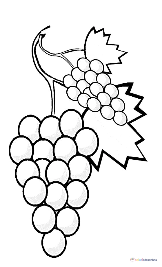 Frutas para colorir