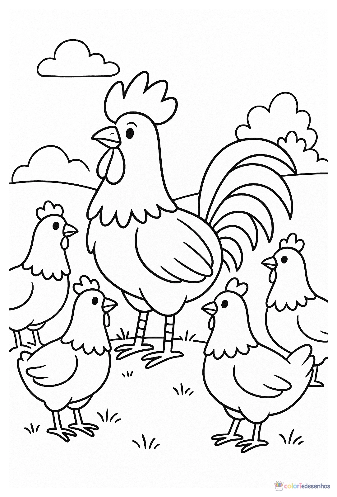 Galo para colorir