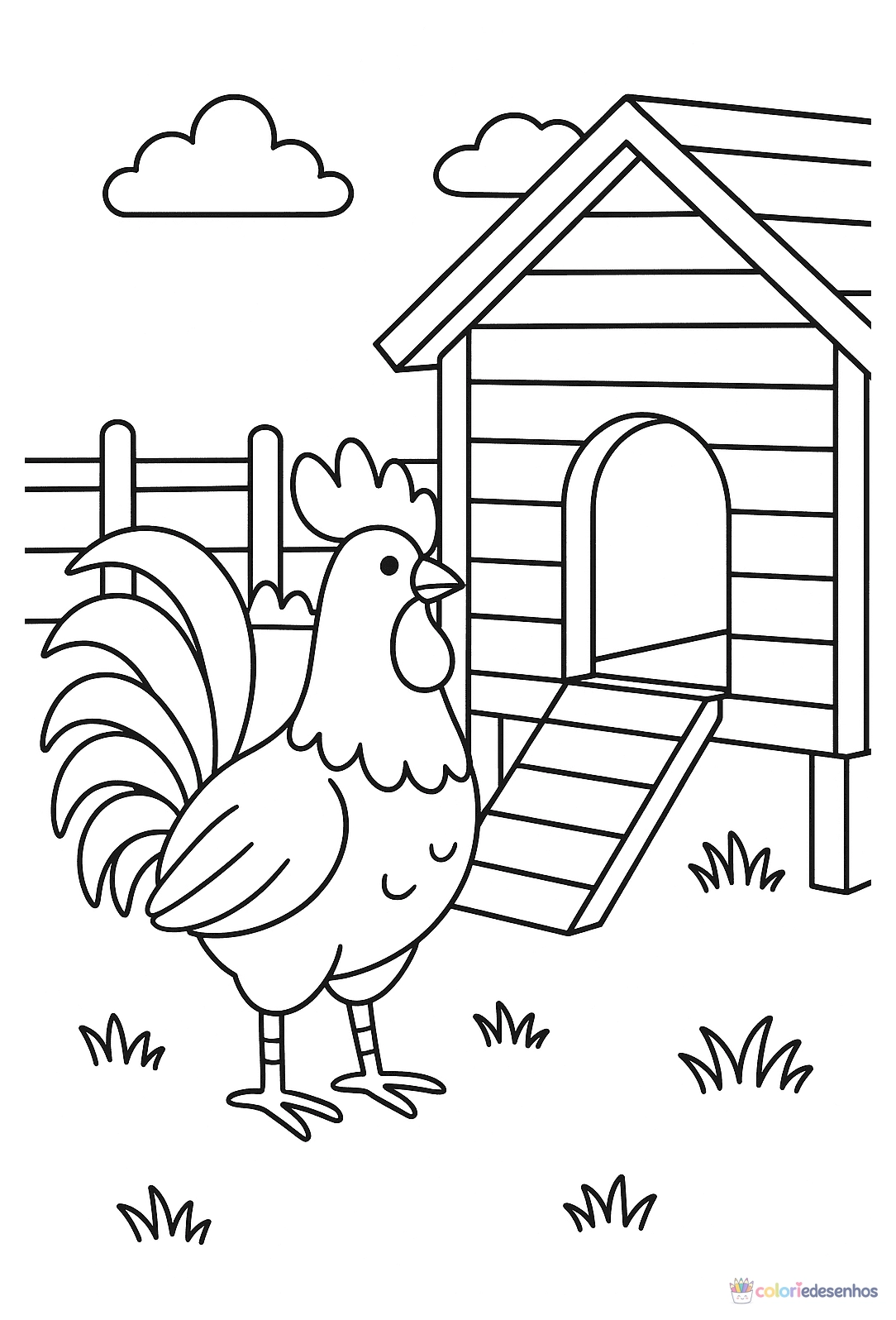 Galo para colorir