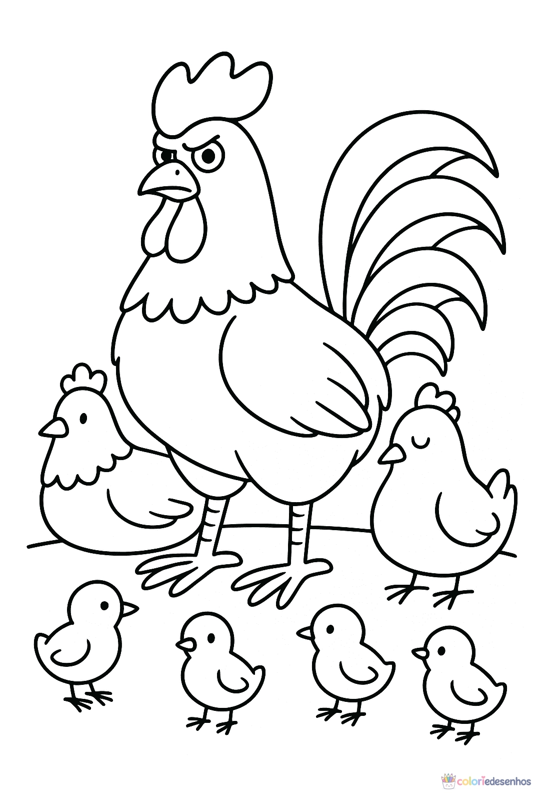 Galo para colorir