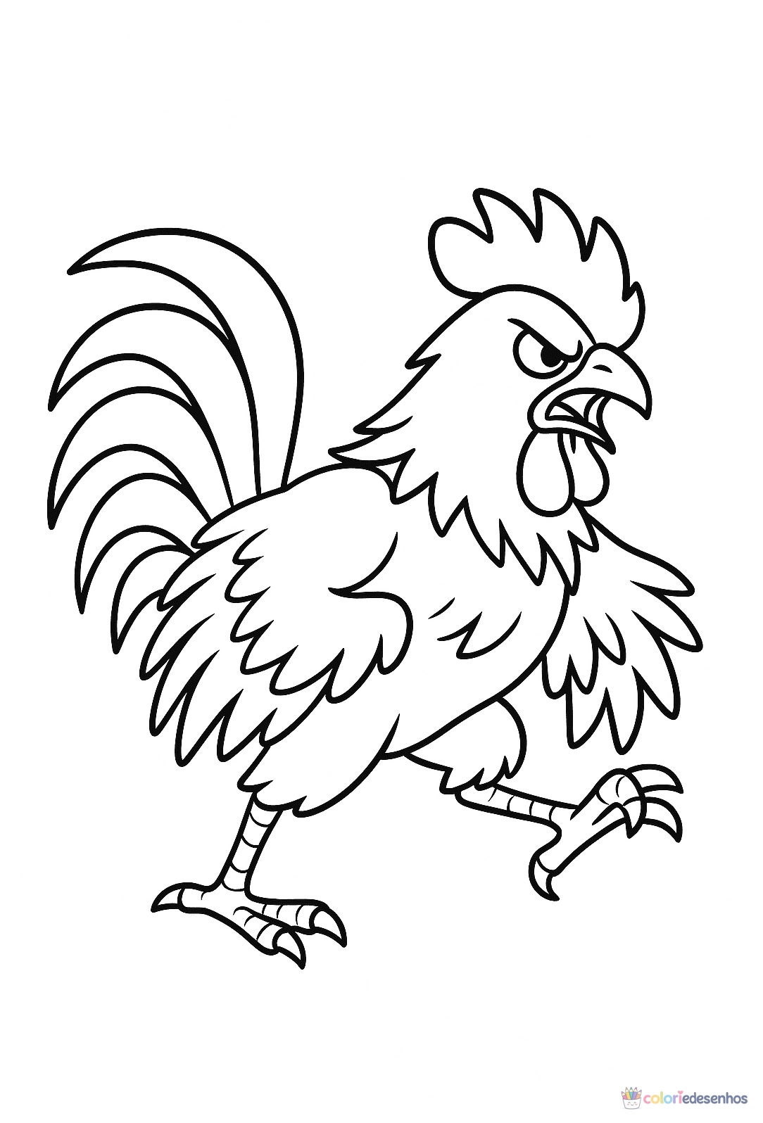 Galo para colorir