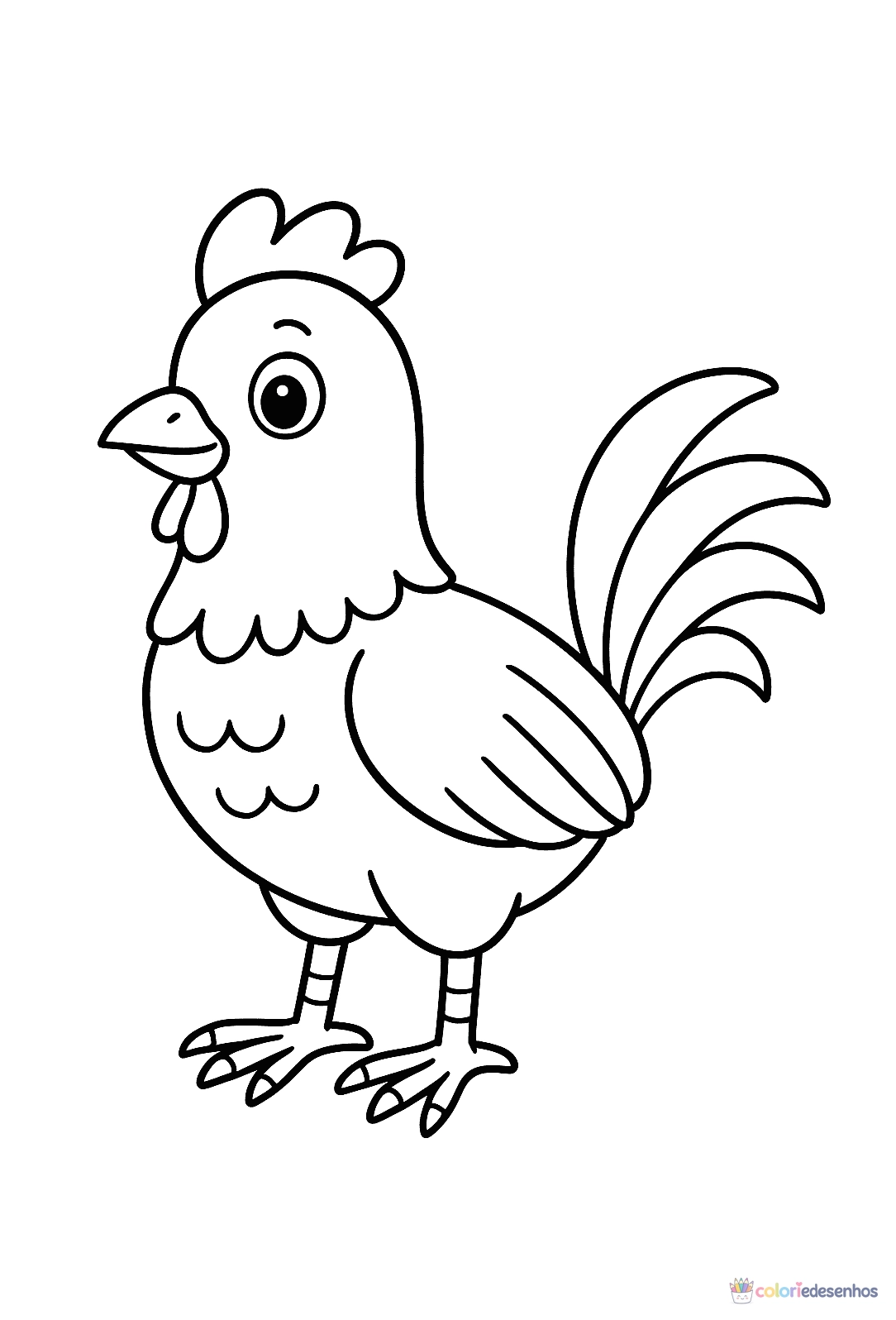 Galo para colorir