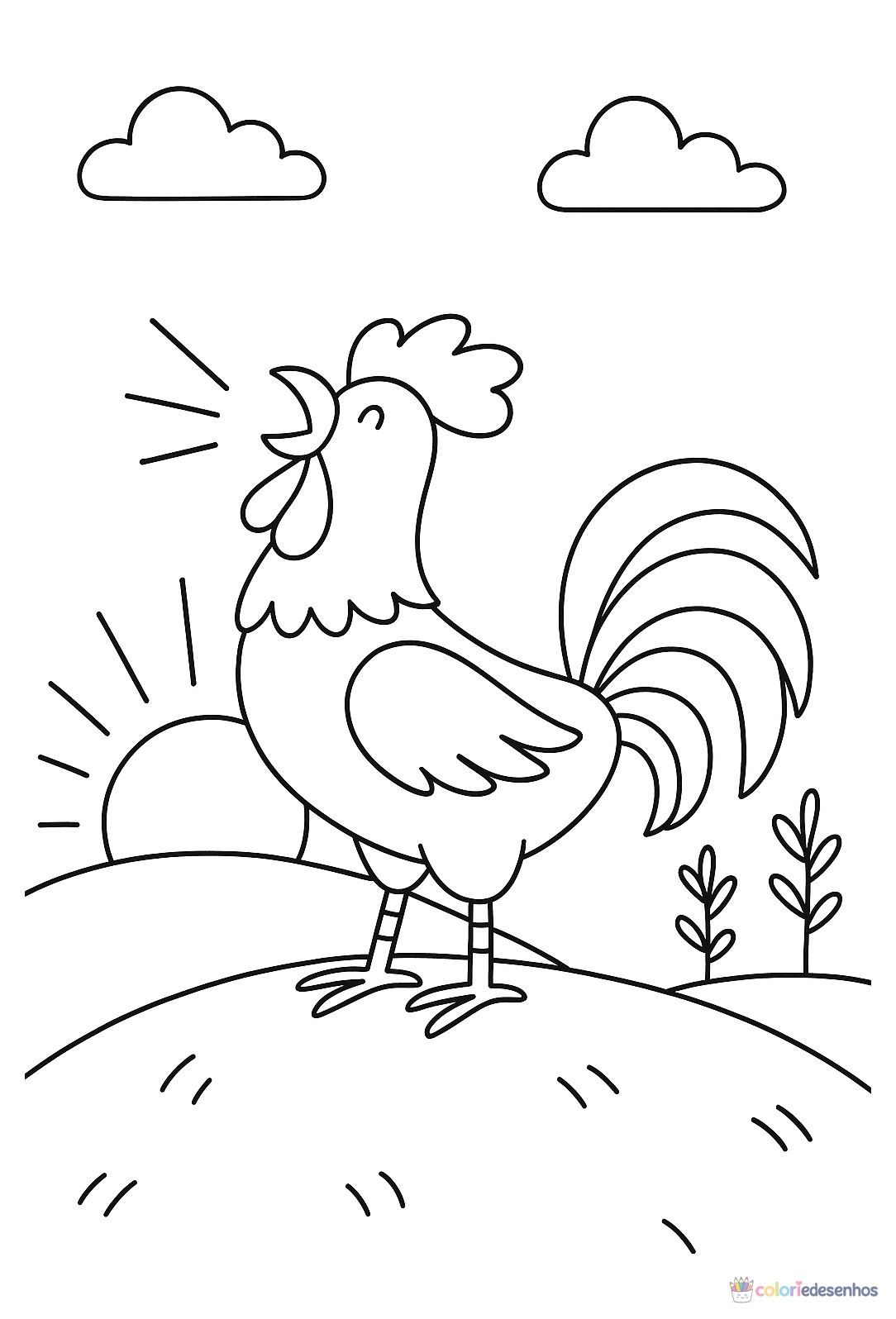 Galo para colorir