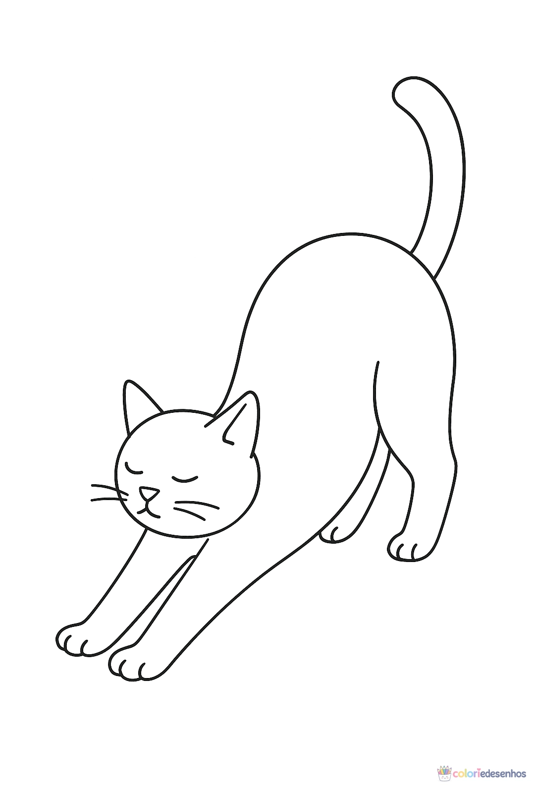Gato para colorir