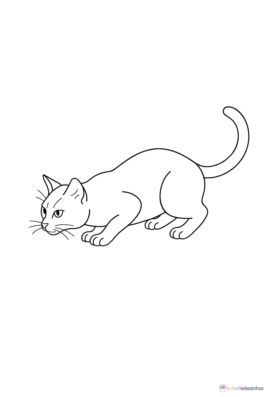 Gato para colorir