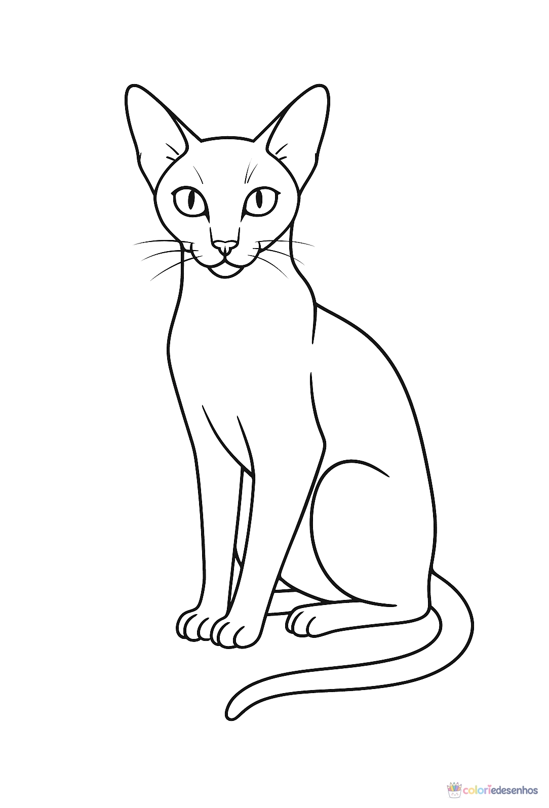 Gato para colorir